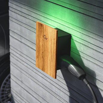 green wallbox 2 pro max z kablem type 2